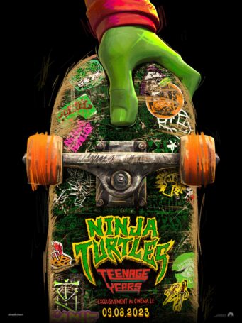 Ninja Turtles : Teenage Years